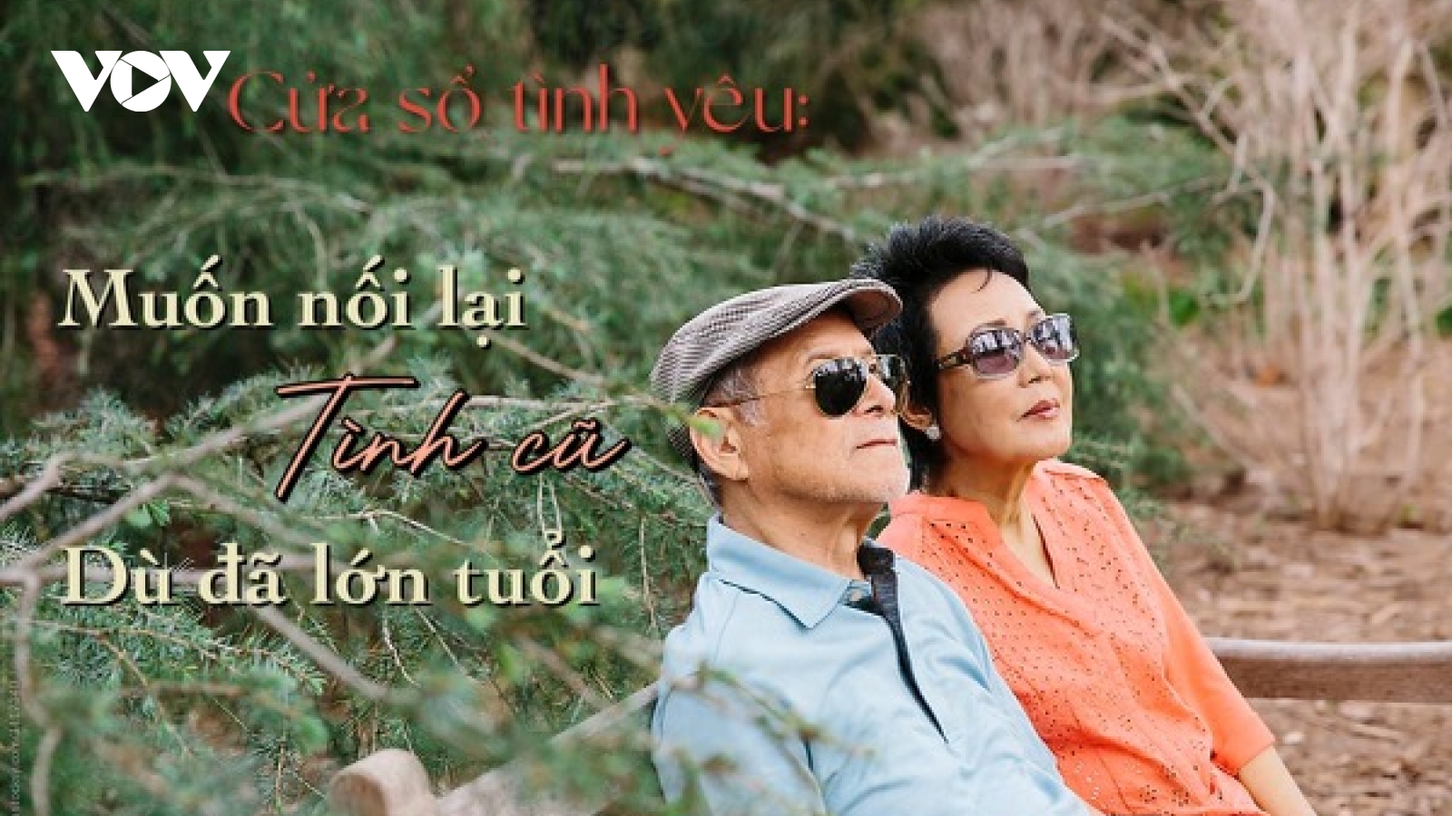 Muốn nối lại tình cũ dù đã lớn tuổi